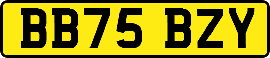 BB75BZY