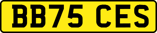 BB75CES