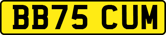 BB75CUM