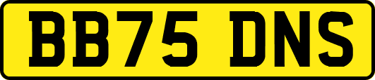 BB75DNS
