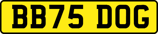 BB75DOG