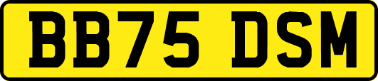 BB75DSM
