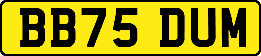 BB75DUM