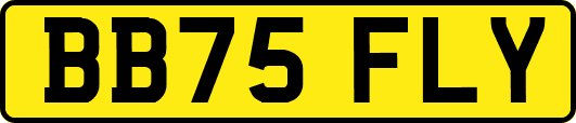 BB75FLY