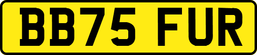 BB75FUR
