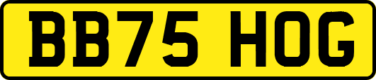 BB75HOG