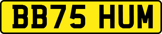 BB75HUM