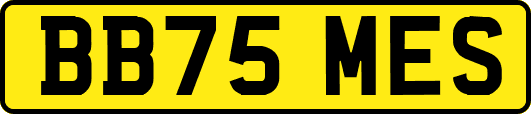 BB75MES