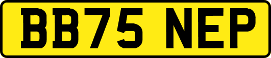 BB75NEP