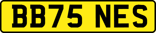 BB75NES