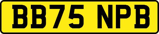 BB75NPB