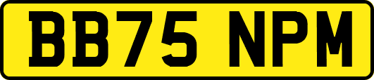BB75NPM