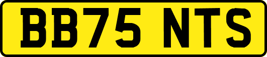 BB75NTS