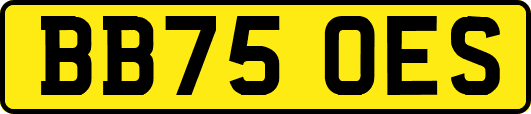 BB75OES