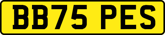 BB75PES