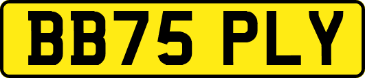 BB75PLY