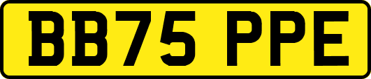 BB75PPE