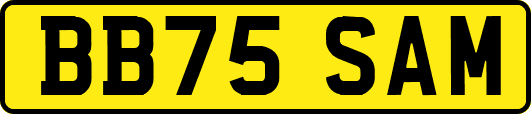 BB75SAM