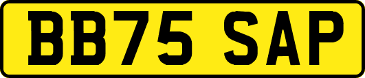 BB75SAP