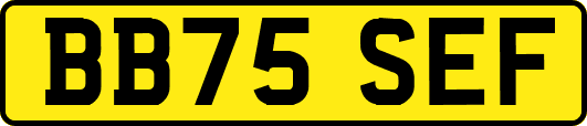 BB75SEF