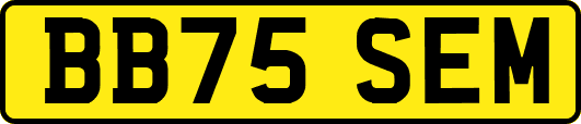 BB75SEM