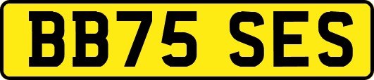 BB75SES