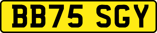 BB75SGY
