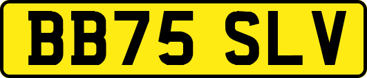 BB75SLV