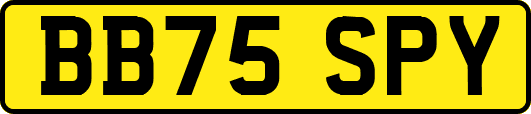 BB75SPY