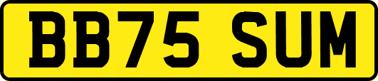 BB75SUM