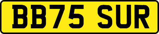BB75SUR