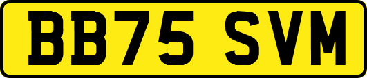 BB75SVM