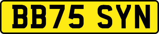 BB75SYN