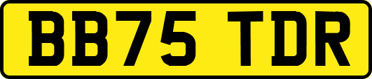 BB75TDR