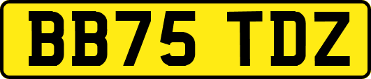 BB75TDZ