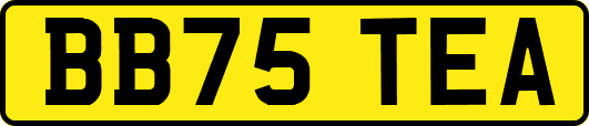 BB75TEA
