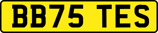 BB75TES