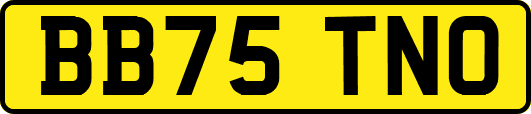 BB75TNO