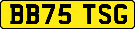 BB75TSG