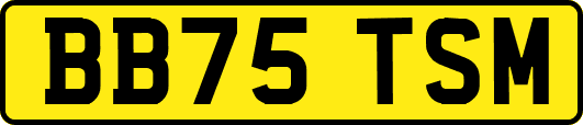 BB75TSM