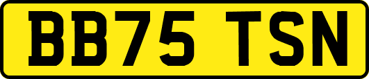 BB75TSN