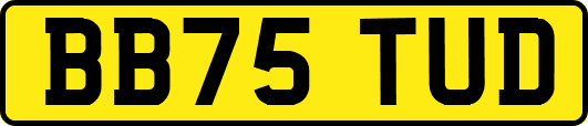 BB75TUD