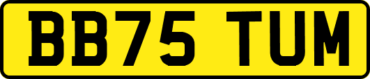 BB75TUM