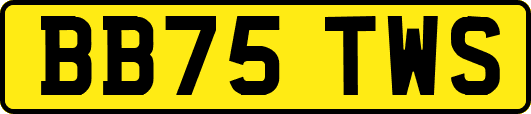 BB75TWS