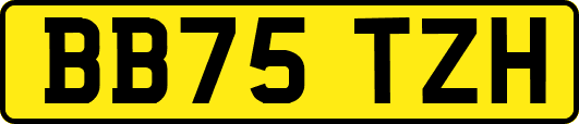 BB75TZH