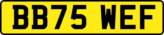 BB75WEF