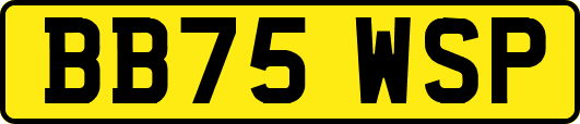 BB75WSP