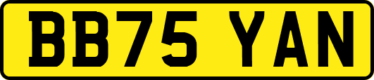 BB75YAN