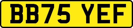BB75YEF
