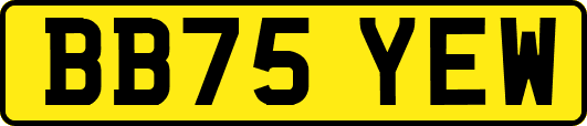 BB75YEW